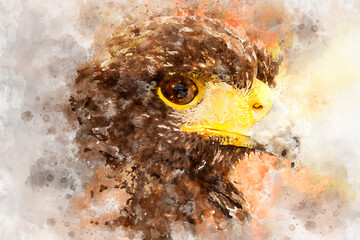 Wall Mural - Watercolor, Black eagle head, european bird