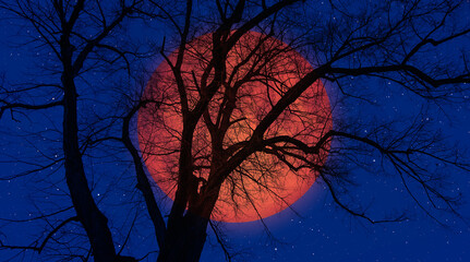 Aufkleber - Silhouette of lone tree with full orange moon 
