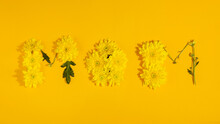 The Word Mom Laid Out From Yellow Chrysanthemums On A Yellow Background. Mother's Day Flat Lay Layout. High Quality Photo