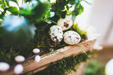 Fototapeta Pomosty - Kolorowe jajka wielkanocne w ładnym wystroju