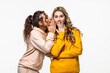 © F8  \ Suport Ukraine - Young woman telling gossip to her girlfriend isolated over gray background