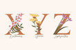 Hand Drawn floral alphabet with spring flowers in pastel colors.Letters X, Y, Z with flowers zephyranthes, yarrow, xanthoceras
