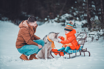 Husky in the woods with the owner and his daughter, a sleigh ride through the woods, fun husky games.