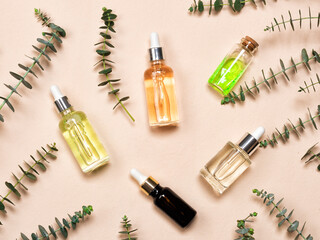 Poster - Glass bottles of essence or serum with natural eucalyptus leaves