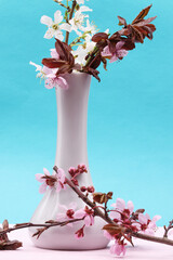 Wall Mural - cherry blossom in a vase