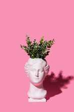 Trendy Venus Plaster Head Planter With Pearls And Gold Jewelry