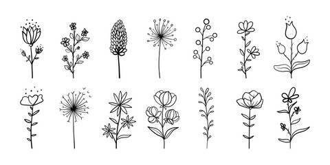 Doodle floral line set. Botanical minimalist elements, hand drawn foliage, simple outline flowers, minimal fine line tattoo. Vector illustration