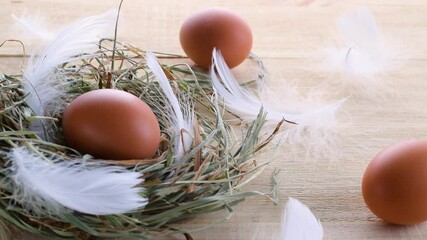 Wall Mural - Easter symbol. Natural colour eggs in basket with spring tulips, white feathers on wooden table background in Happy Easter decoration. Congratulatory easter design