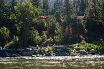 Beautiful landscape with mountains, forest, river with big rocks, and blue clear sky on sunny summer day. Rest Area, I-90, Alberton, MT, USA