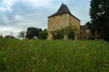 Wall Mural - La vieille tour au milieu des fleurs