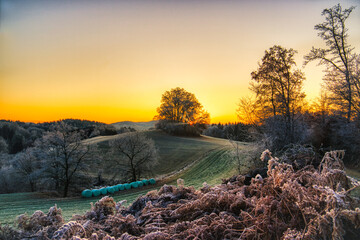 Rural landscape view at fields and meadows near Ranfels, a small village in lower bavaria, germany, during sunrise