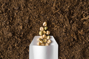 One white opened paper pack of dry pea seeds on fresh dark soil background. Closeup. Preparation for garden season in early spring. Top down view.