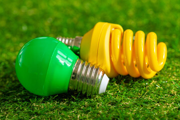 Energy efficient light bulb lying on grass