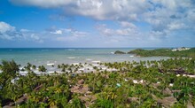 Palmeras En Playa Bonita Republica Dominicana