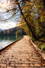 Wall Mural - Tourist route on the wooden floor along the famous alpine Bled lake (Blejsko jezero) in Slovenia, amazing autumn landscape. Scenic view of the lake surrounded by forest, outdoor travel background