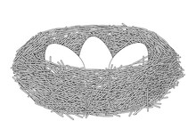 Bird Nest With Eggs  Graphics Black White Coloring Vector Illustration