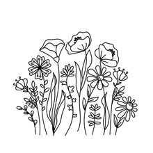 Hand Drawn Wildflowers Meadow. Black And White Doodle Wild Flowers And Grass Plants. Monochrome Floral Elements.
