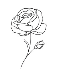 Aufkleber - One line drawing. Garden rose with bud. Hand drawn sketch. Vector illustration.	