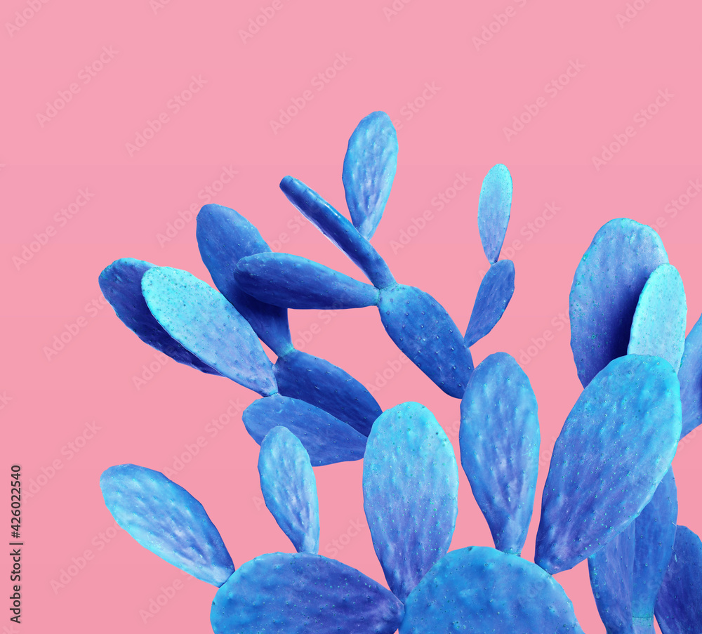 Blue cactus on pink background. Creative design - obrazy, fototapety, plakaty 