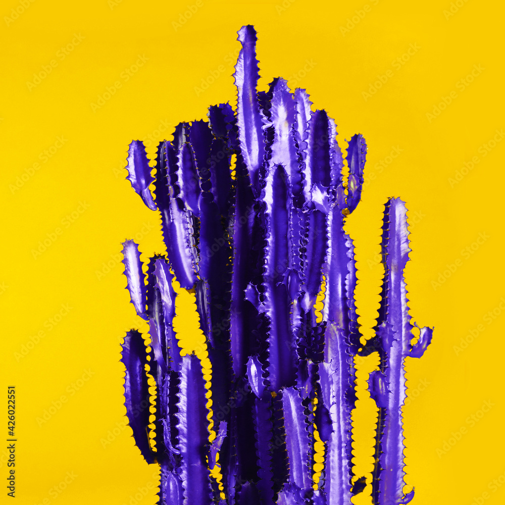 Violet cactus on yellow background. Creative design - obrazy, fototapety, plakaty 