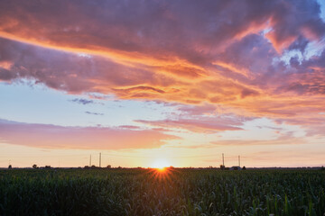 Scenic view of sunset in the counrtyside of Ferrara