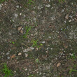 © Dmitry - Seamless forest gravel ground texture