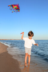 Wall Mural - Cute little boy flying rainbow kite on sea beach