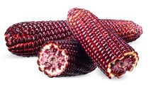Red Corn Isolated On White With Clipping Path