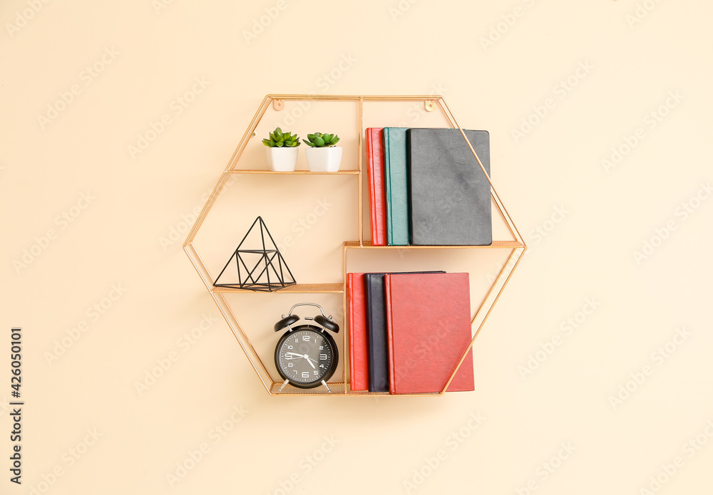 Shelf with books, alarm clock and plants hanging on color wall