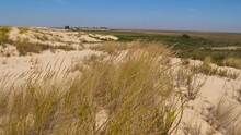 4K Beautiful Landscape Of Mobile Dunes