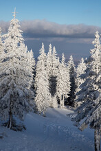 Beautiful Winter Landscape In Vladeasa Mountains, Transylvania, Romania