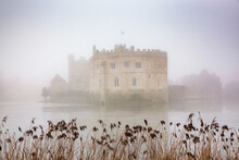 Foggy Day In The Park Surrounding Leeds Castle, Kent, England, United Kingdom