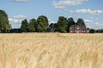 Canvas Print - Beautiful house in Ranki, Latvia