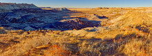 Panorama Of The First Forest In Petrified Forest National Park, Arizona, United States Of America