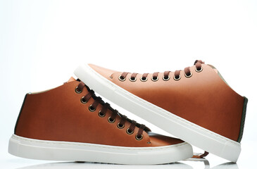 Canvas Print - Pair of new brown sneaker shoes