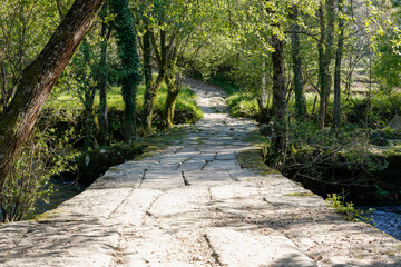 Poster - Majestic shot of a rural road winding through a densely forested area in the countryside