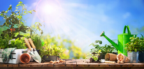 Gardening tools and seedlings on wooden table outdoors