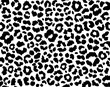 Leopard print seamless pattern, Cheetah repeating pattern, black leopard spots, Vector illustration