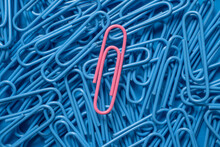 Pink paper clip on pile of blue paper clips