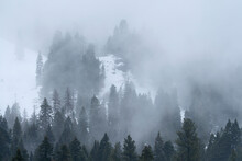 United States, Idaho, Cascade, Clouds And Fog Over Forest In Mountains In Winter