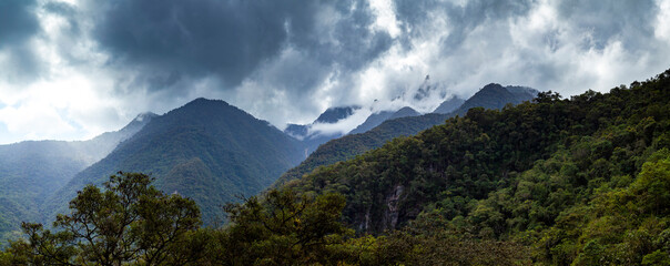 amazon cloud forest in peru, panoramic view of the tropical jungle on the northeast slope of the and