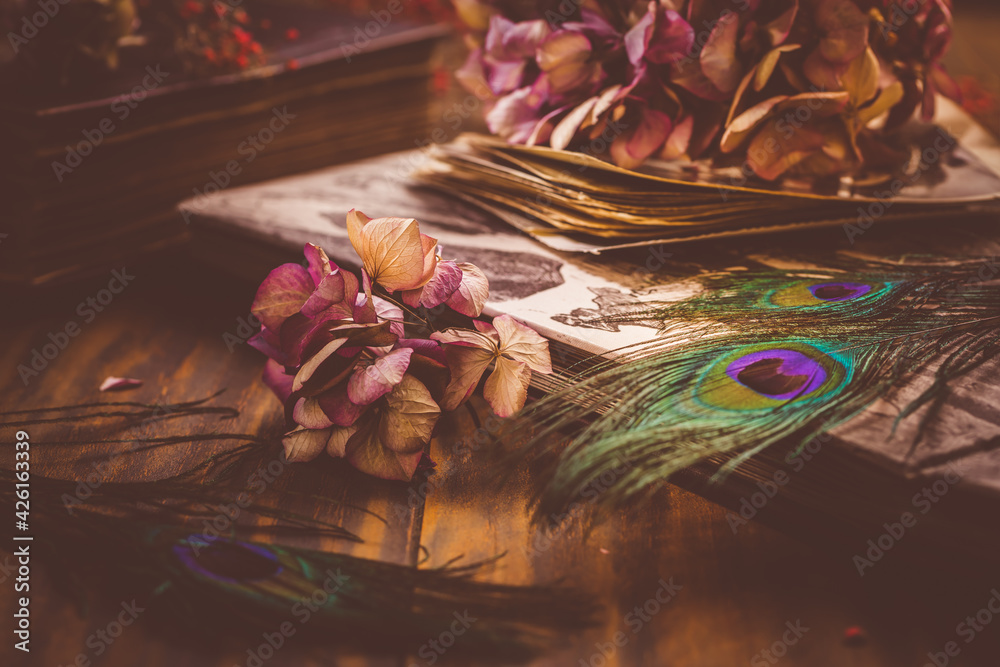 Old book and photo album, dried flowers and peacock feather eye in vintage style - obrazy, fototapety, plakaty 