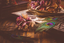 Old Book And Photo Album, Dried Flowers And Peacock Feather Eye In Vintage Style