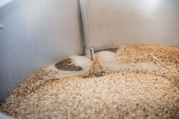 colored malt grains for making light and dark malt craft beer