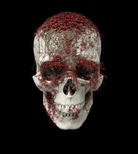 Skull With Red Vines Growing On It