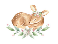 Baby Deer Sleeping  Watercolor Floral Illustration 