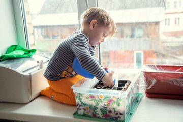 Little Caucasian boy 2 years old watering seedlings from a spray