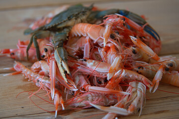 Sticker - crayfish, fresh ready for cooking