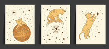 Fantasy Cat Celestial Astrology Nursery Art. Boho Esoteric Card Set. Golden Art Moon And Star Magic Vector Collection.