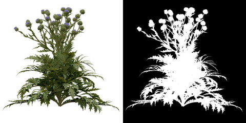 Wall Mural - left view of tree (cynara scolymus) png with alpha channel to cutout 3d rendering